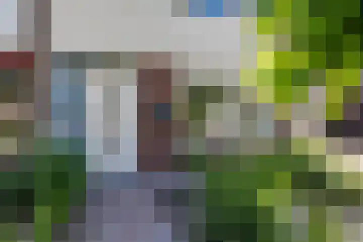 Singelhorn 1 Grijpskerk thumbnail 5