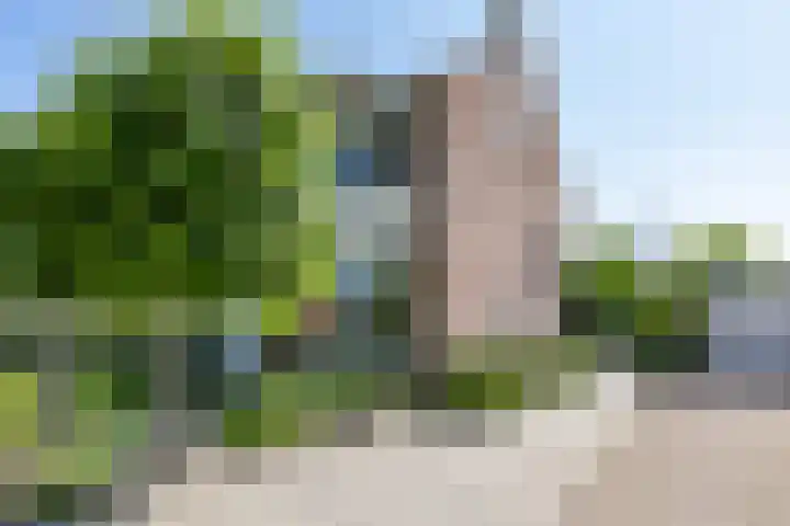 Singelhorn 1 Grijpskerk thumbnail 50