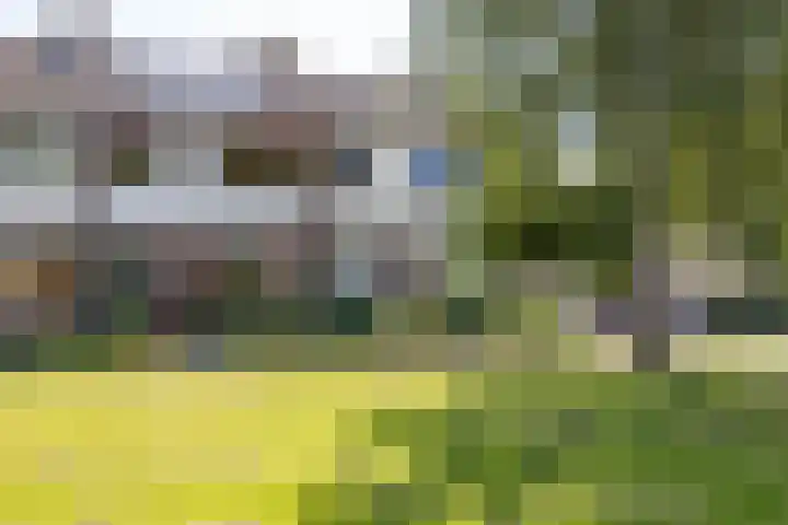 Singelhorn 1 Grijpskerk thumbnail 51