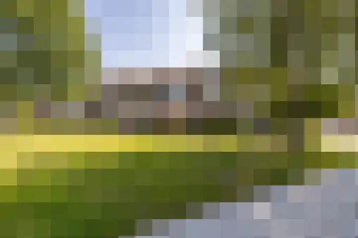 Singelhorn 1 Grijpskerk thumbnail 52