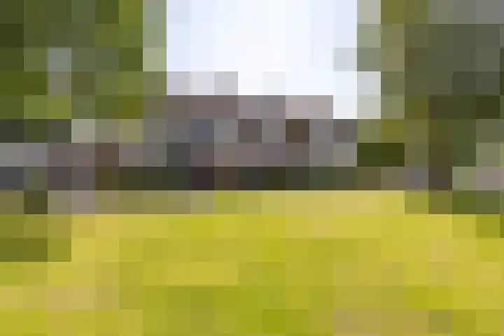 Singelhorn 1 Grijpskerk thumbnail 53