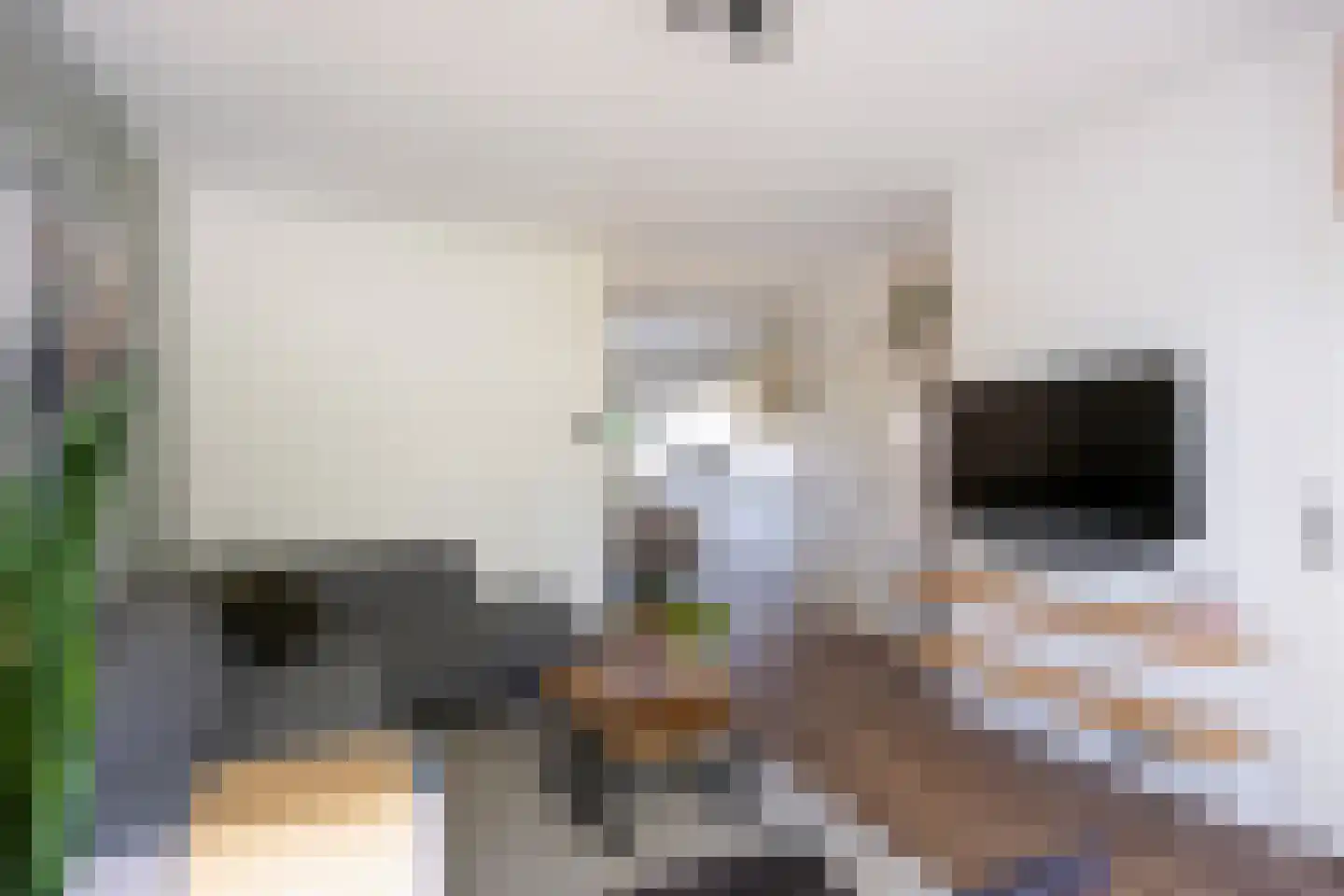 Singelhorn 4 Grijpskerk thumbnail 12