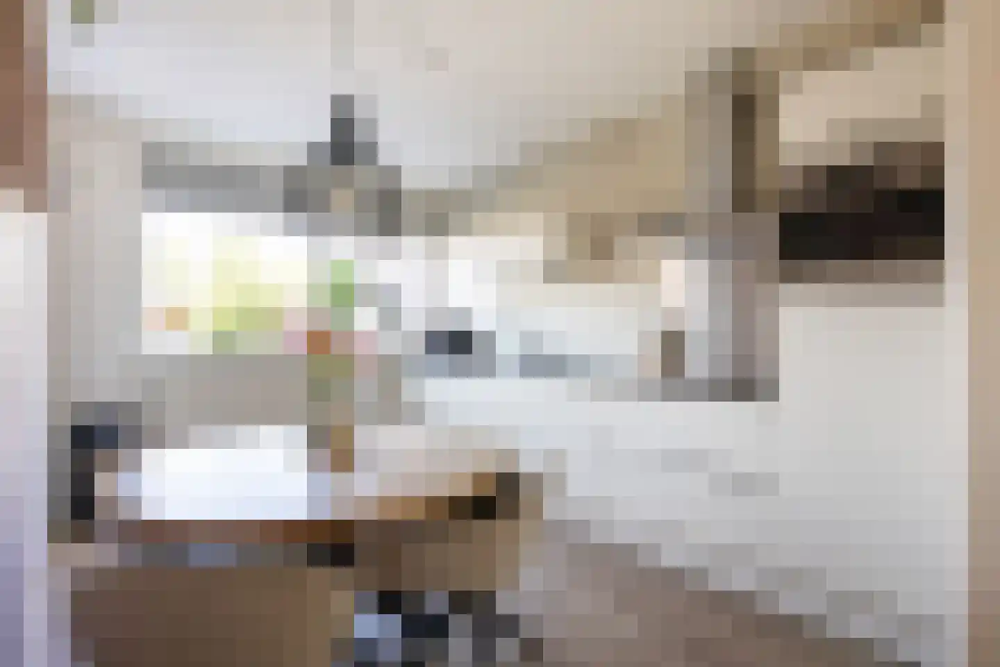 Singelhorn 4 Grijpskerk thumbnail 14