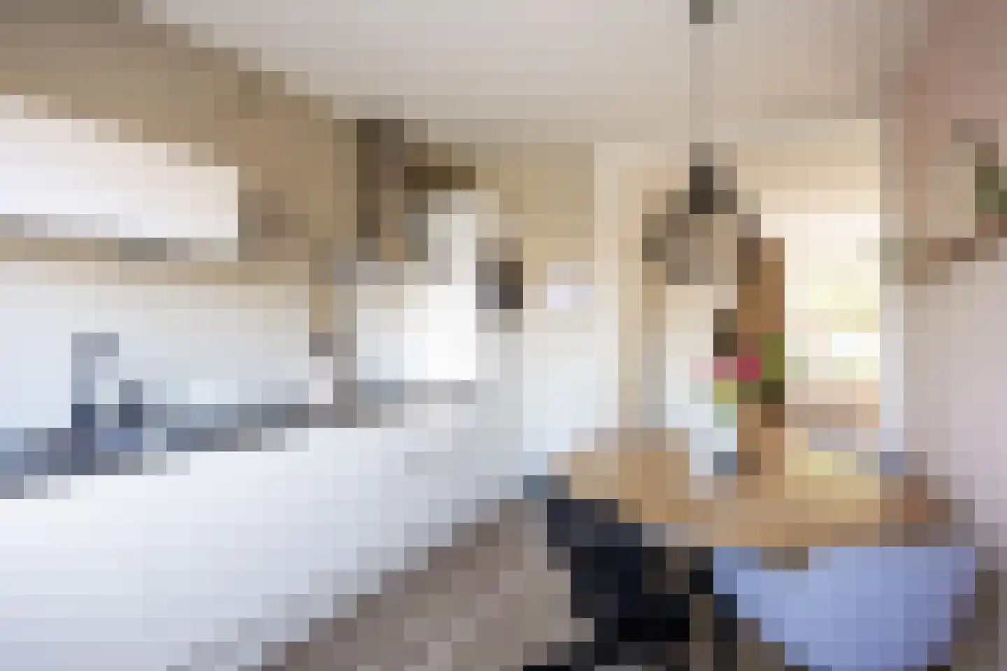 Singelhorn 4 Grijpskerk thumbnail 16