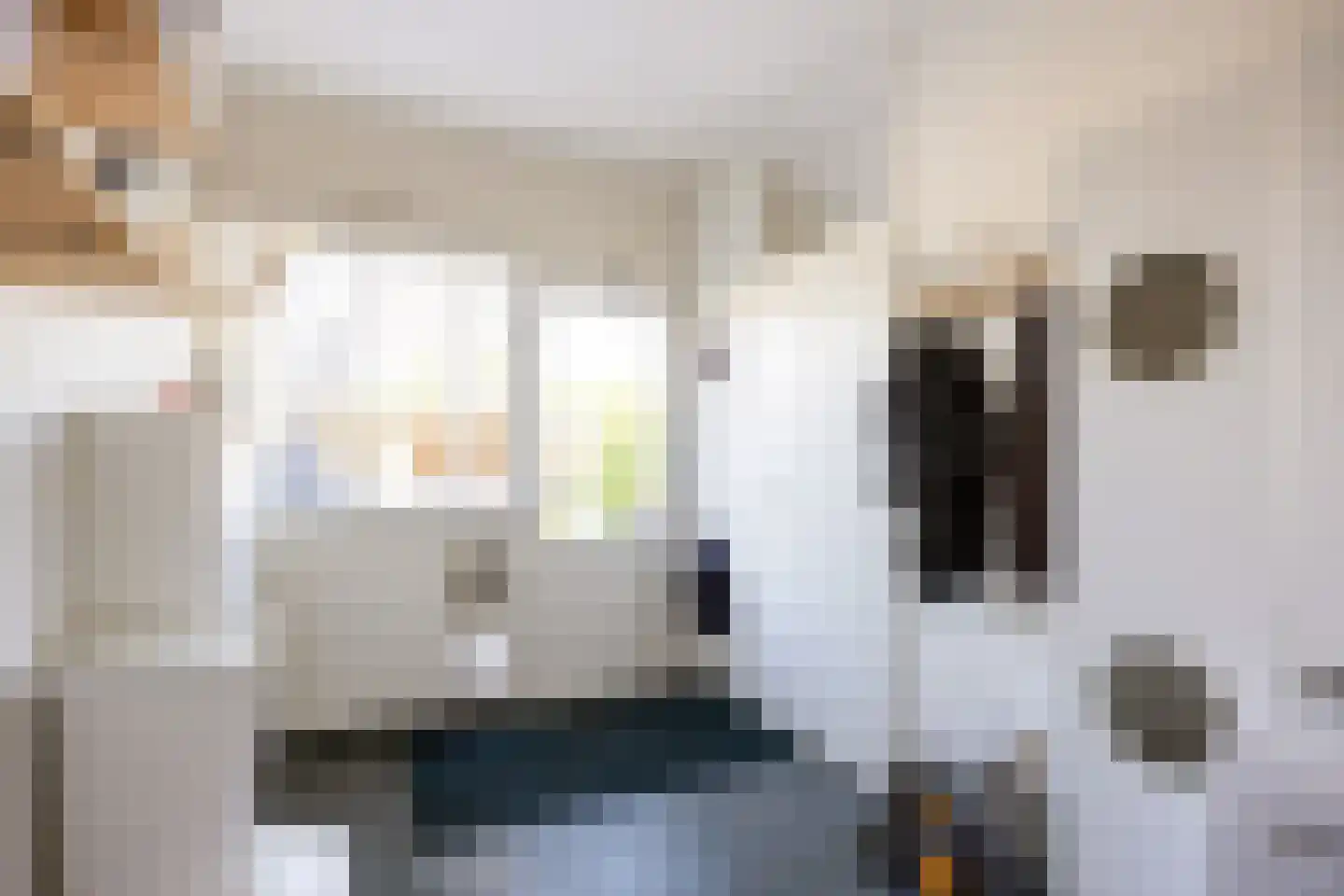 Singelhorn 4 Grijpskerk thumbnail 18