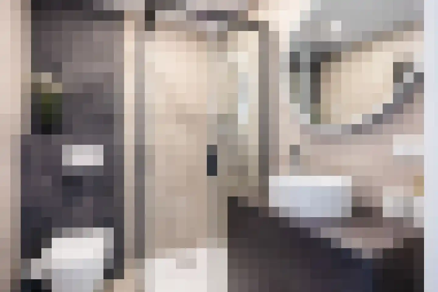 Singelhorn 4 Grijpskerk thumbnail 24