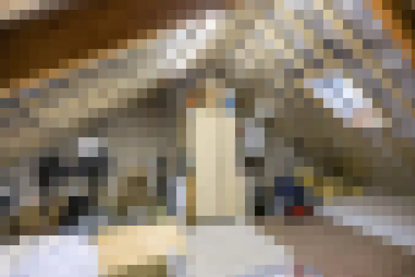 Singelhorn 4 Grijpskerk thumbnail 26