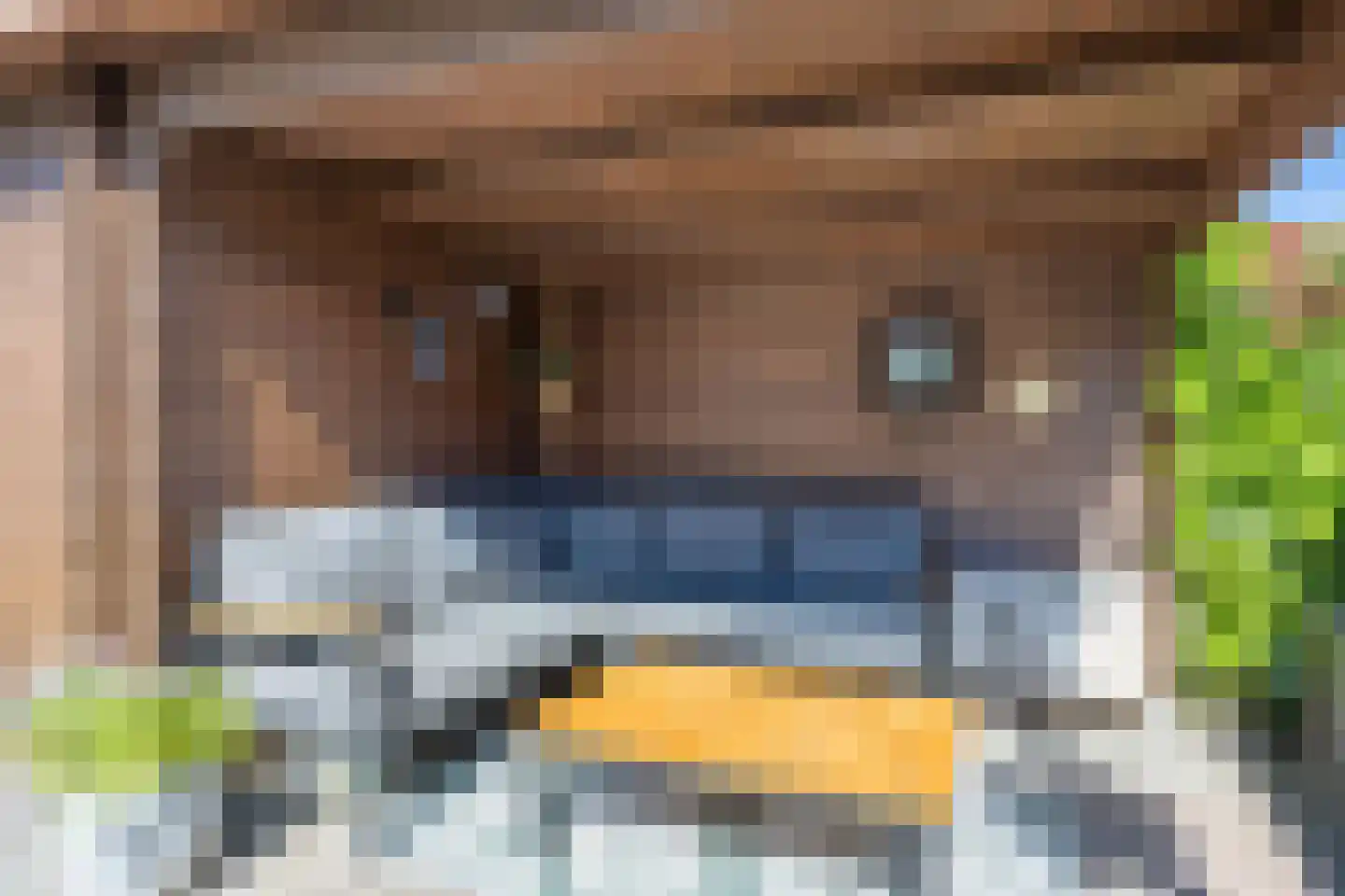 Singelhorn 4 Grijpskerk thumbnail 31