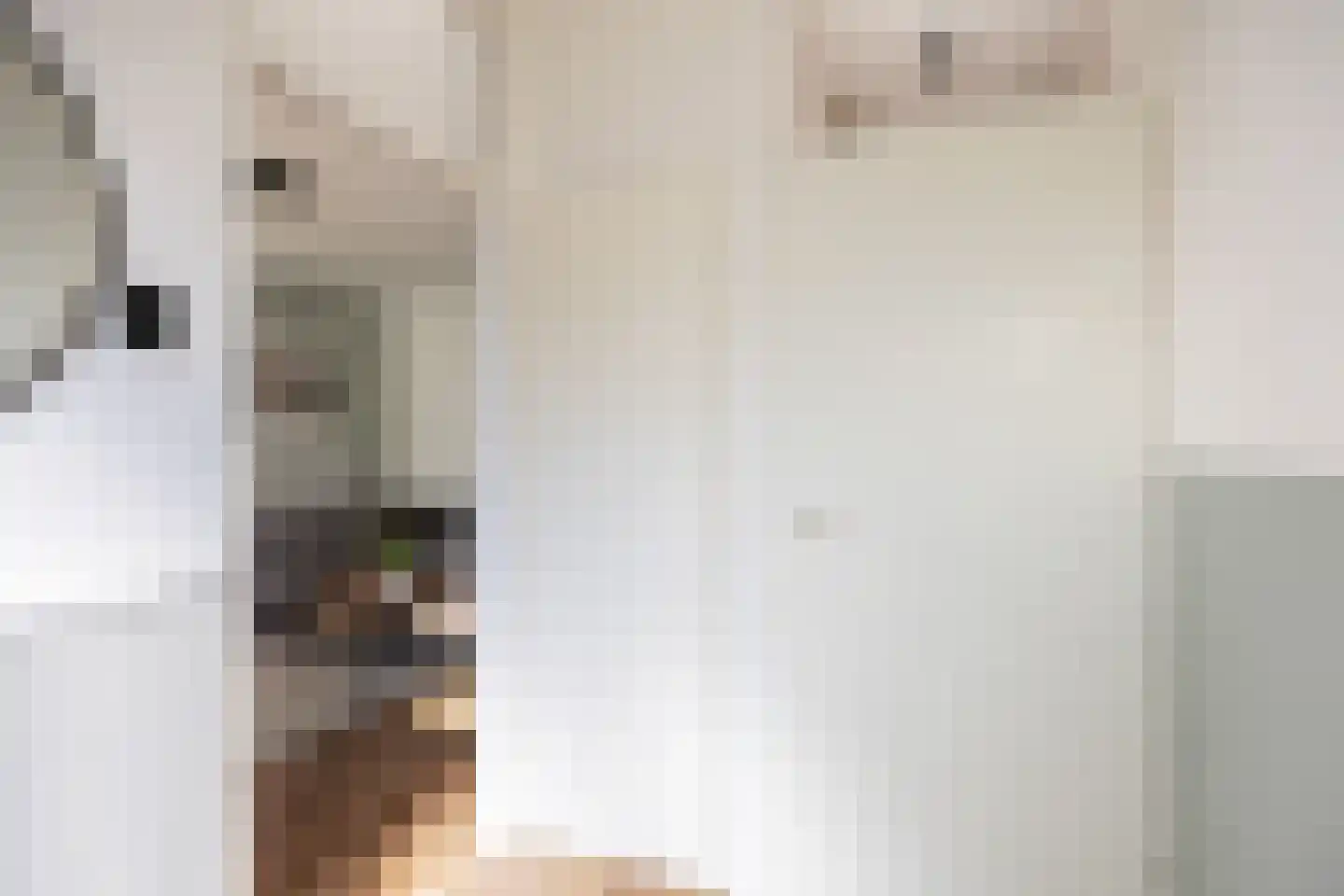 Singelhorn 4 Grijpskerk thumbnail 8
