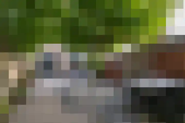 Singelkade 118 Middelharnis thumbnail 28