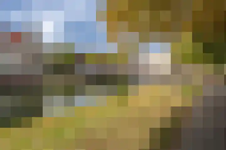 Singelkade 118 Middelharnis thumbnail 34