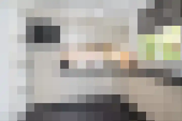Singelkade 118 Middelharnis thumbnail 6
