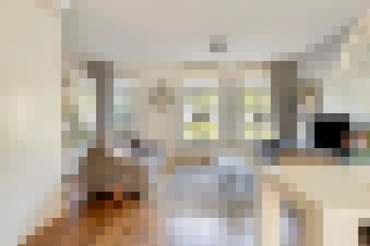 Singelkade 26 Middelharnis thumbnail 11