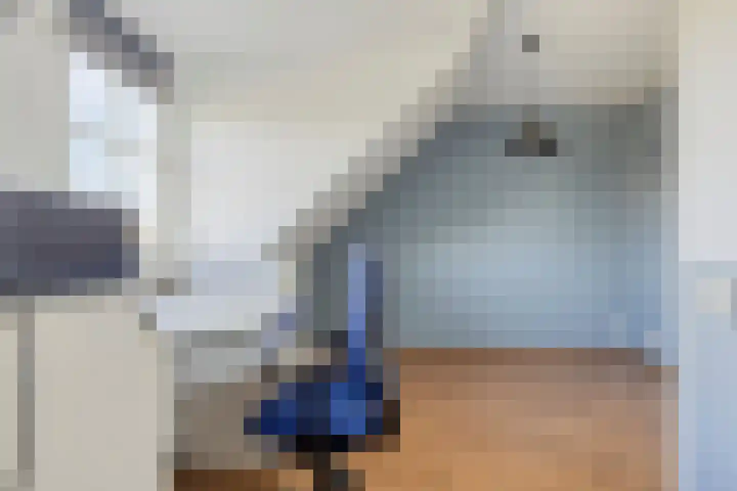 Singelkade 26 Middelharnis thumbnail 30