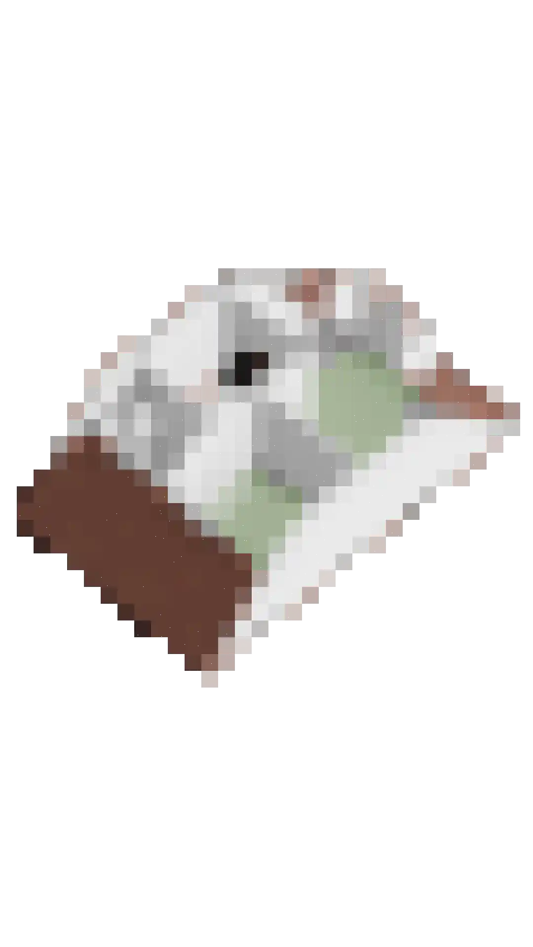 Singelkade 26 Middelharnis thumbnail 55