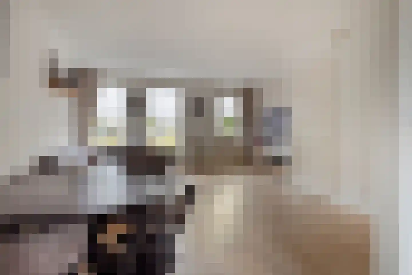 Singelkade 68 Middelharnis thumbnail 12