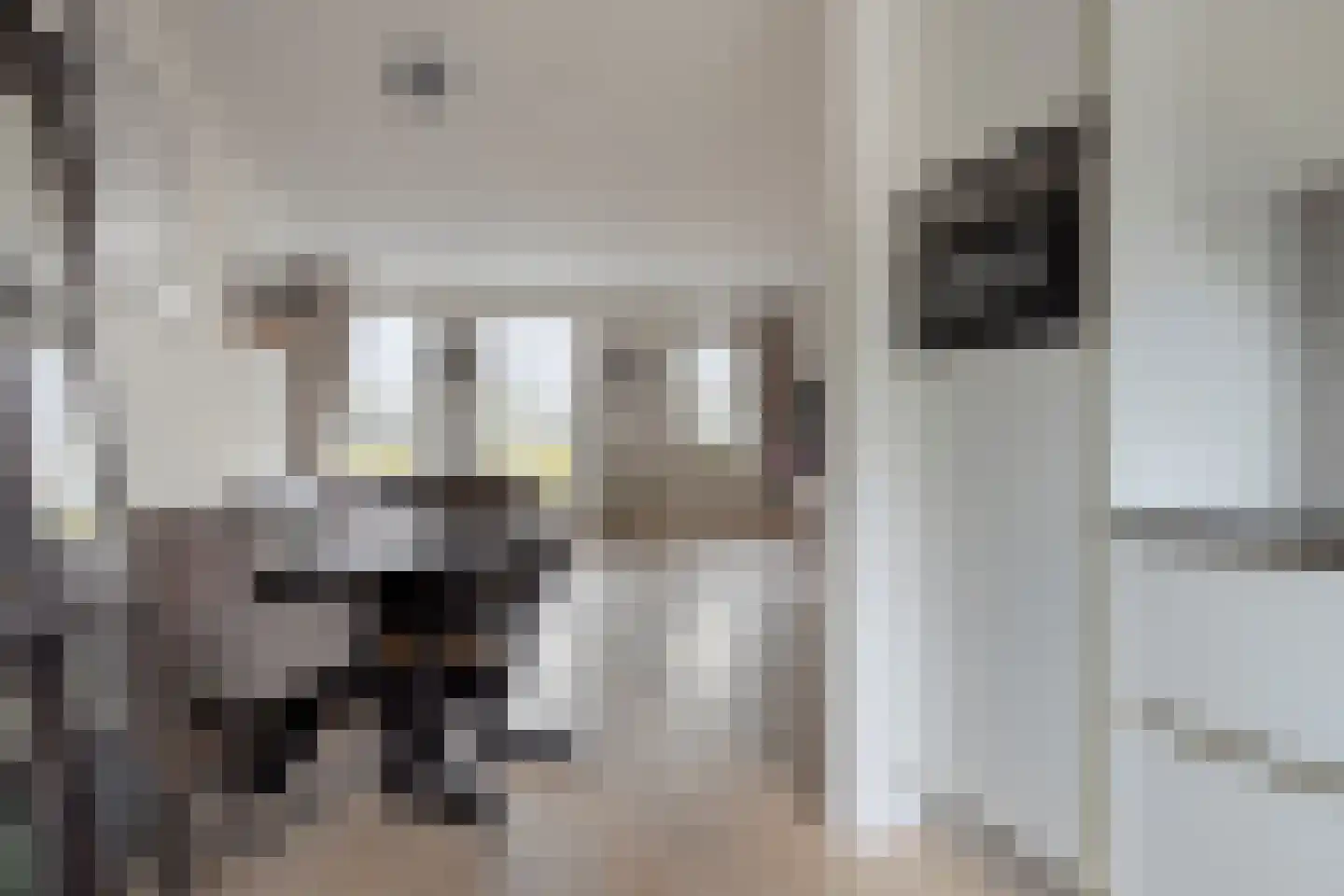 Singelkade 68 Middelharnis thumbnail 20