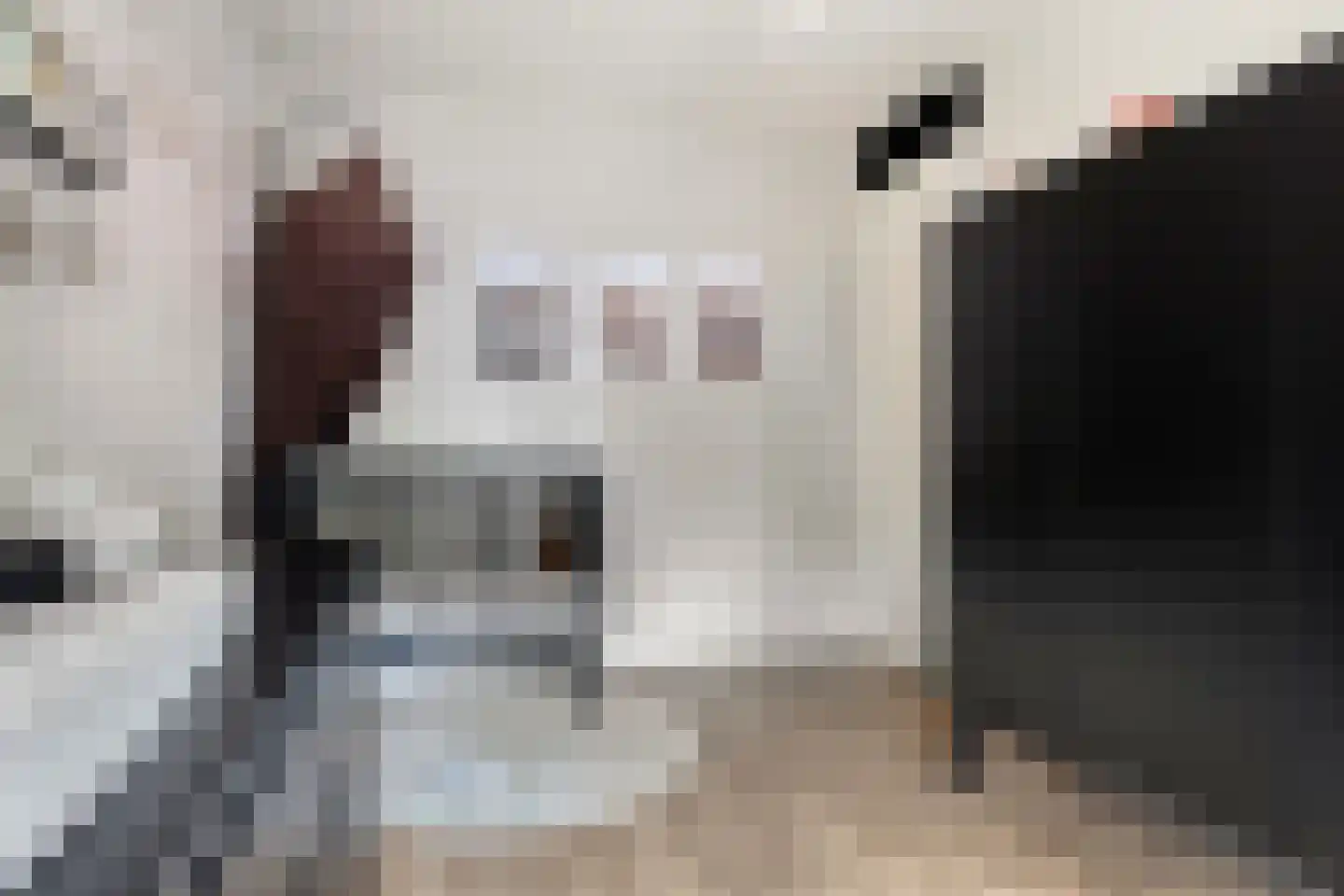 Singelkade 68 Middelharnis thumbnail 29