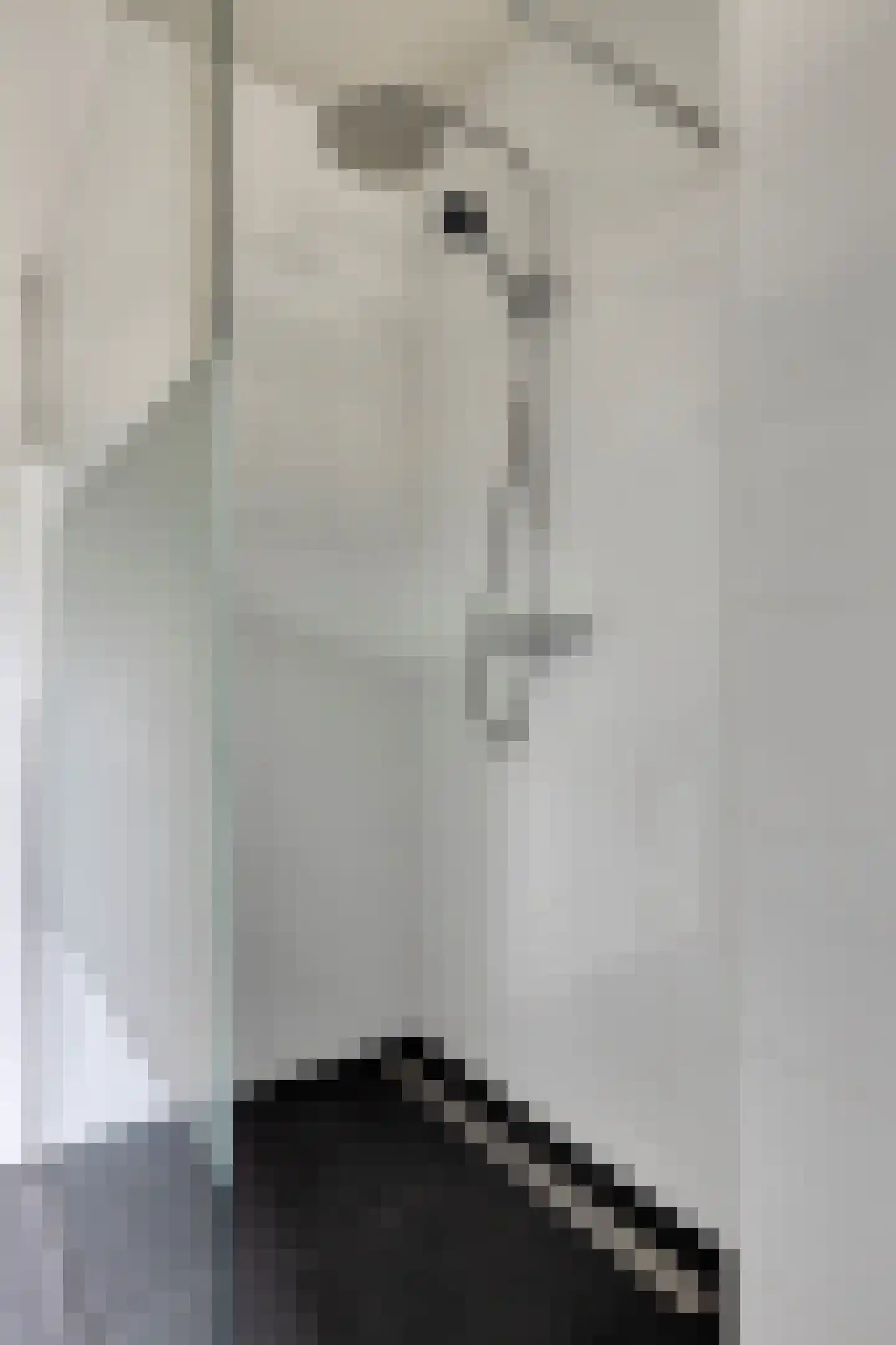Singelkade 68 Middelharnis thumbnail 30