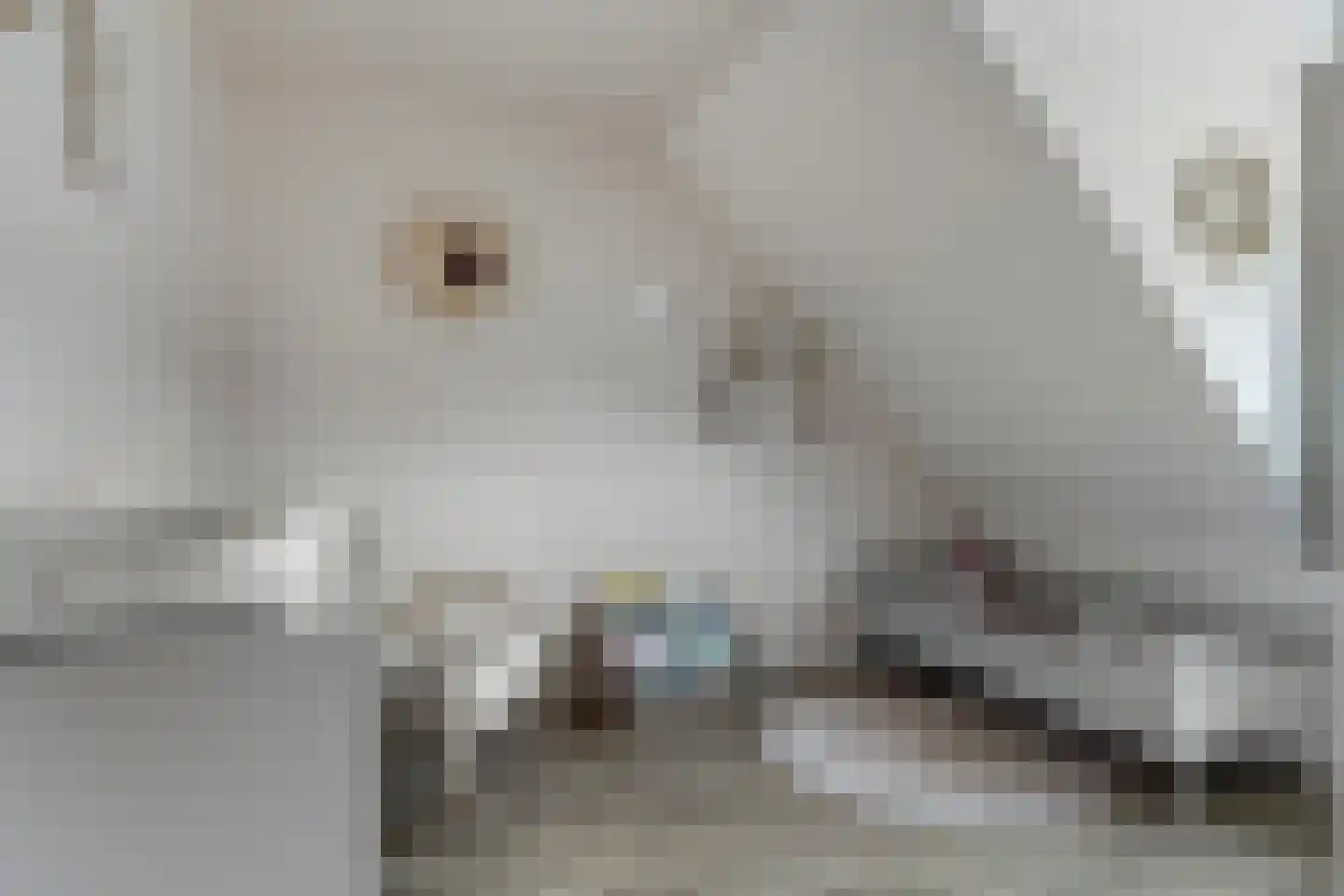 Singelkade 68 Middelharnis thumbnail 36