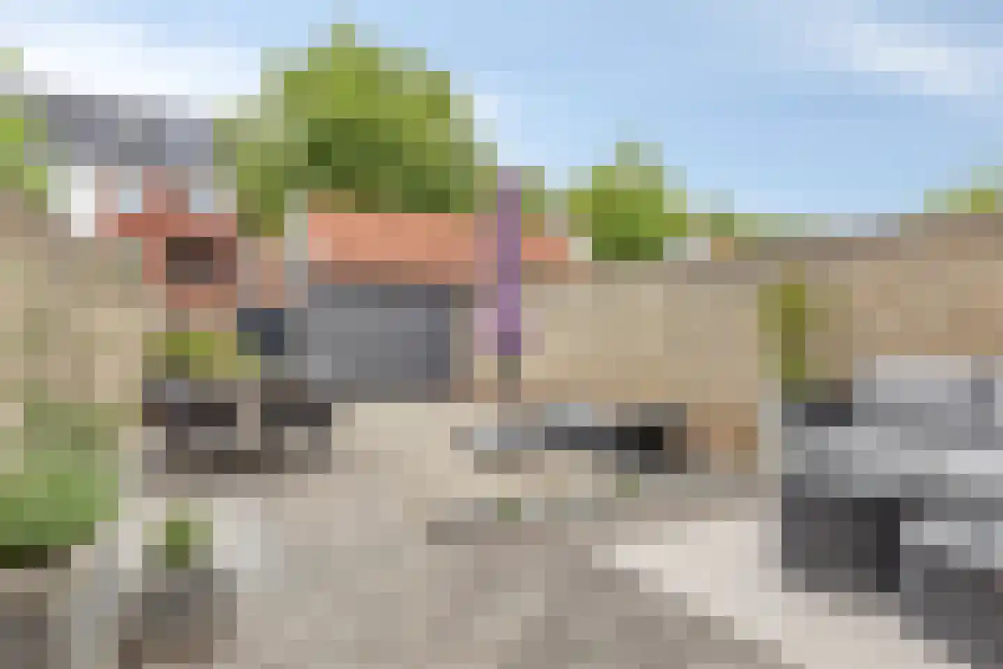 Singelkade 68 Middelharnis thumbnail 5