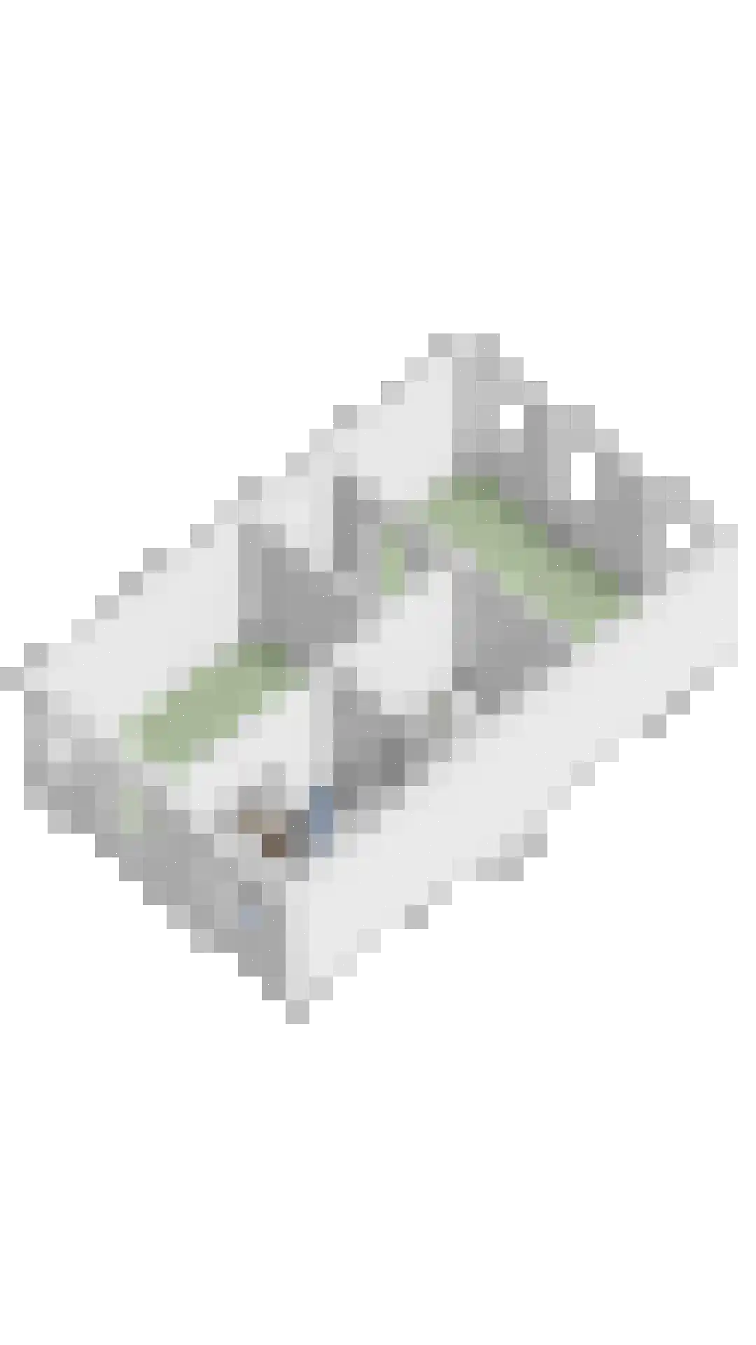Singelkade 68 Middelharnis thumbnail 50