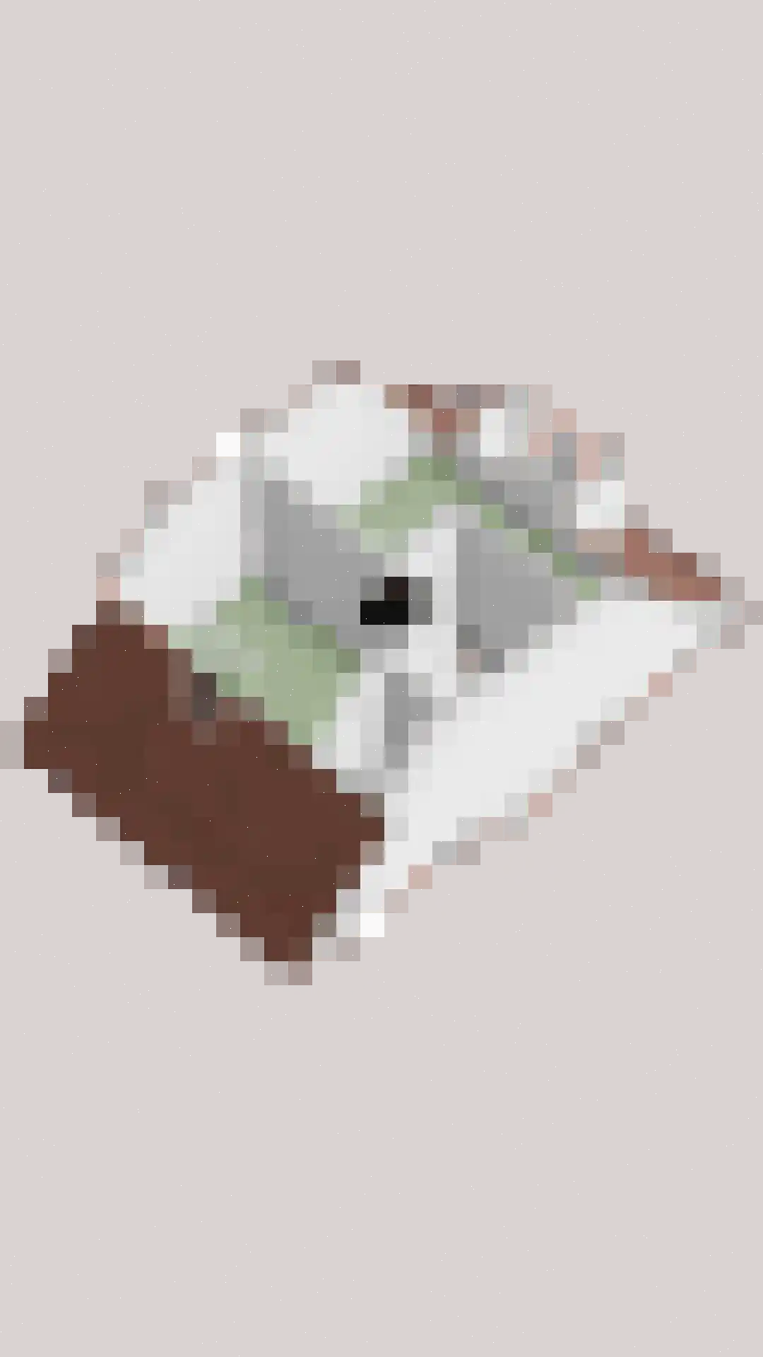 Singelkade 68 Middelharnis thumbnail 52