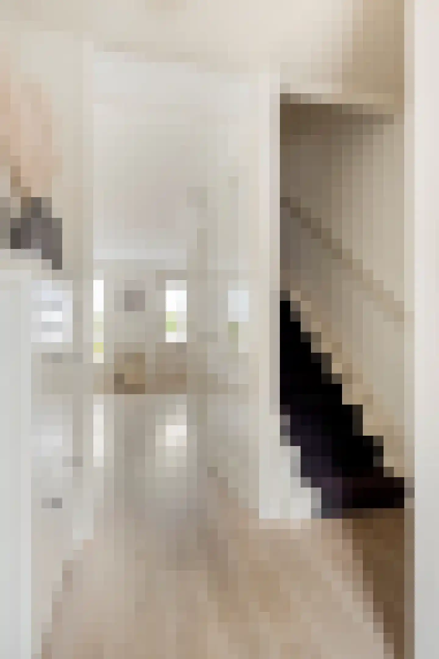 Singelkade 68 Middelharnis thumbnail 9