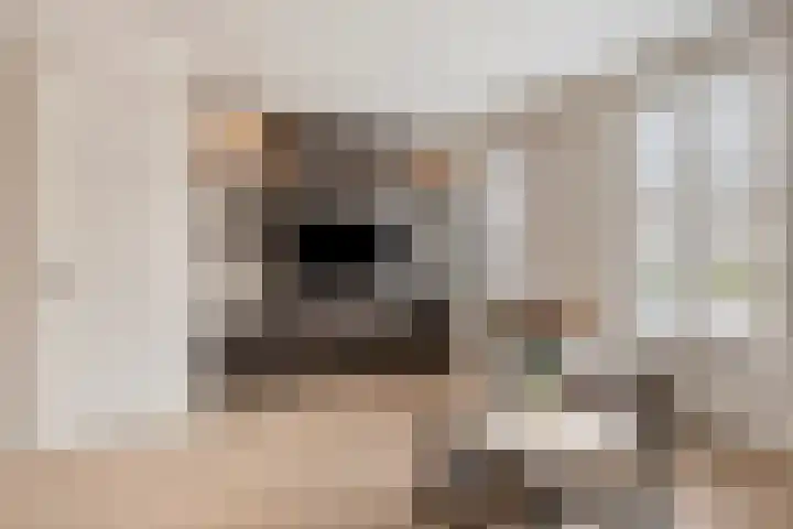 Singelkade 70 Middelharnis thumbnail 14