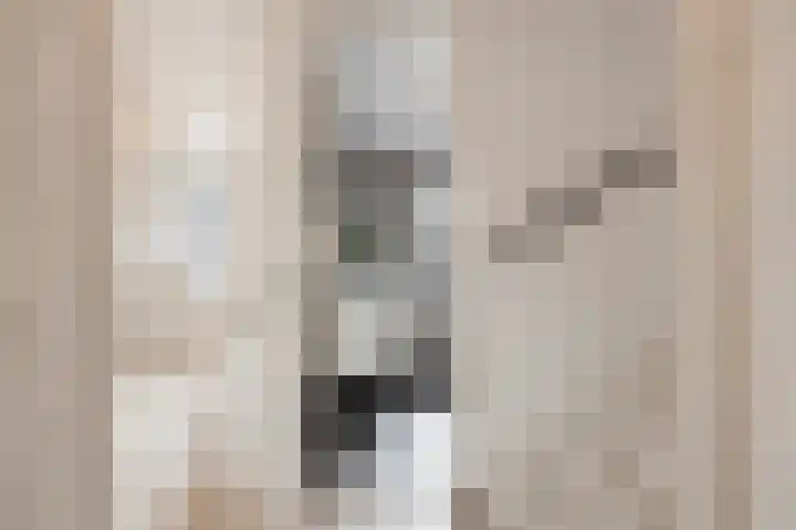 Singelkade 70 Middelharnis thumbnail 21
