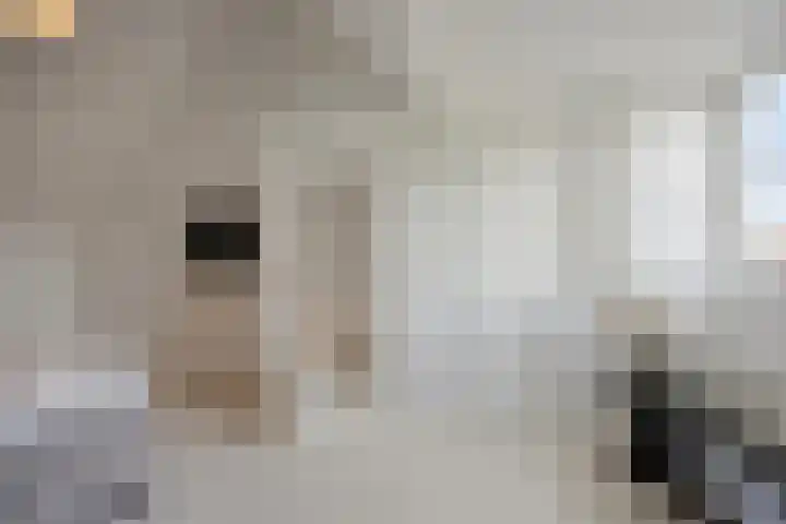 Singelkade 70 Middelharnis thumbnail 32