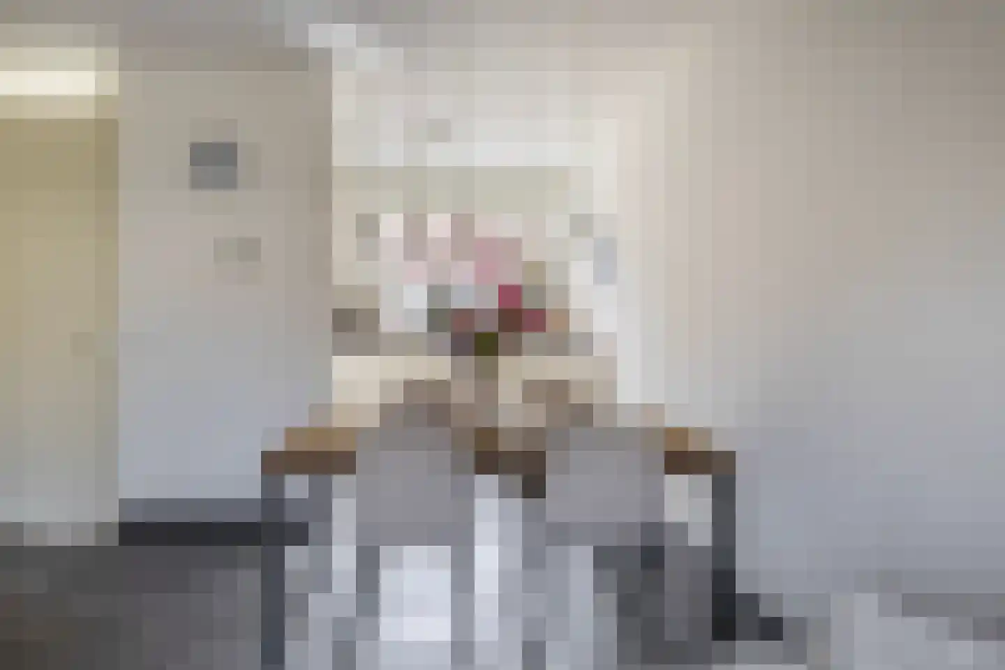Singelkade 80 Middelharnis thumbnail 11