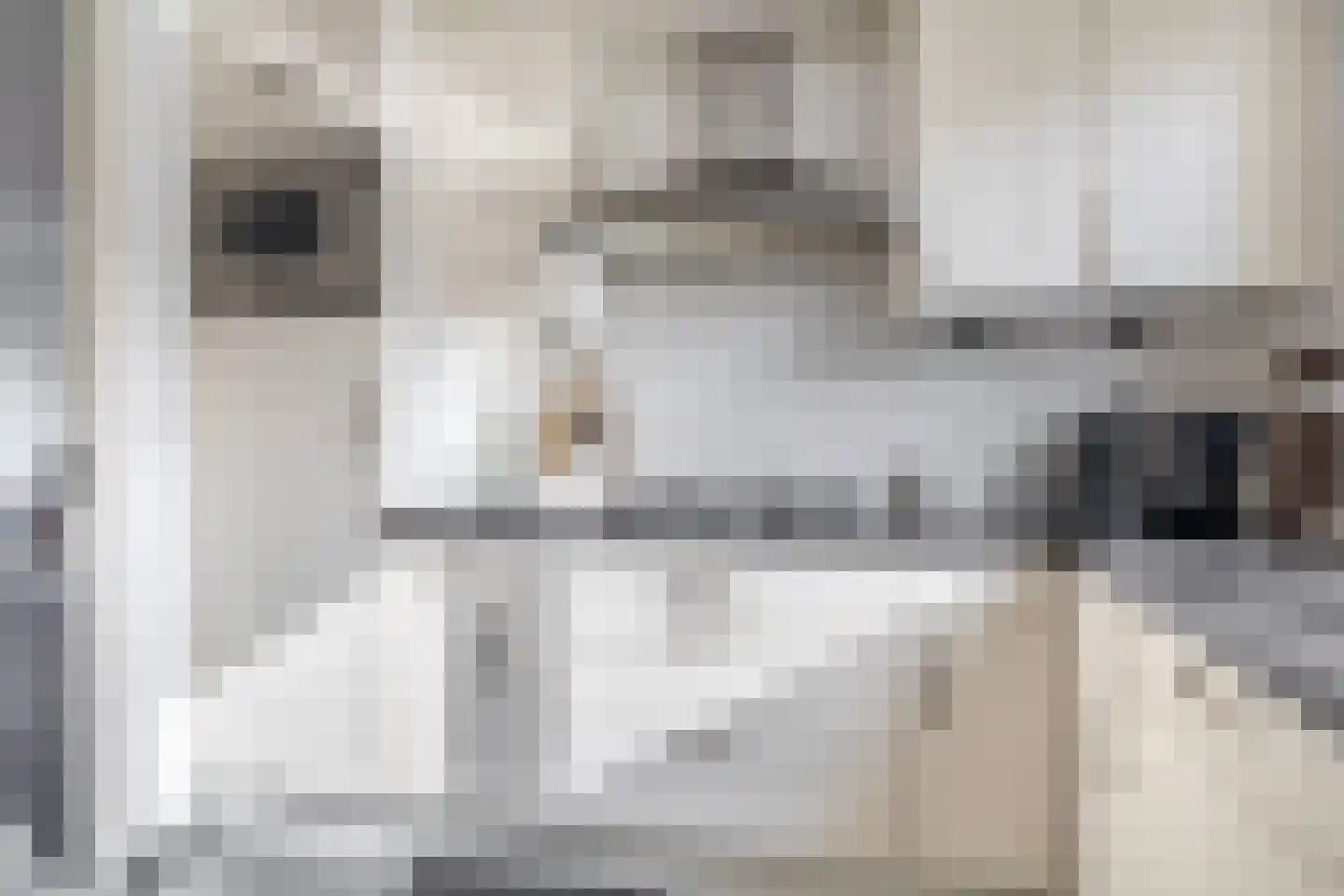Singelkade 80 Middelharnis thumbnail 12