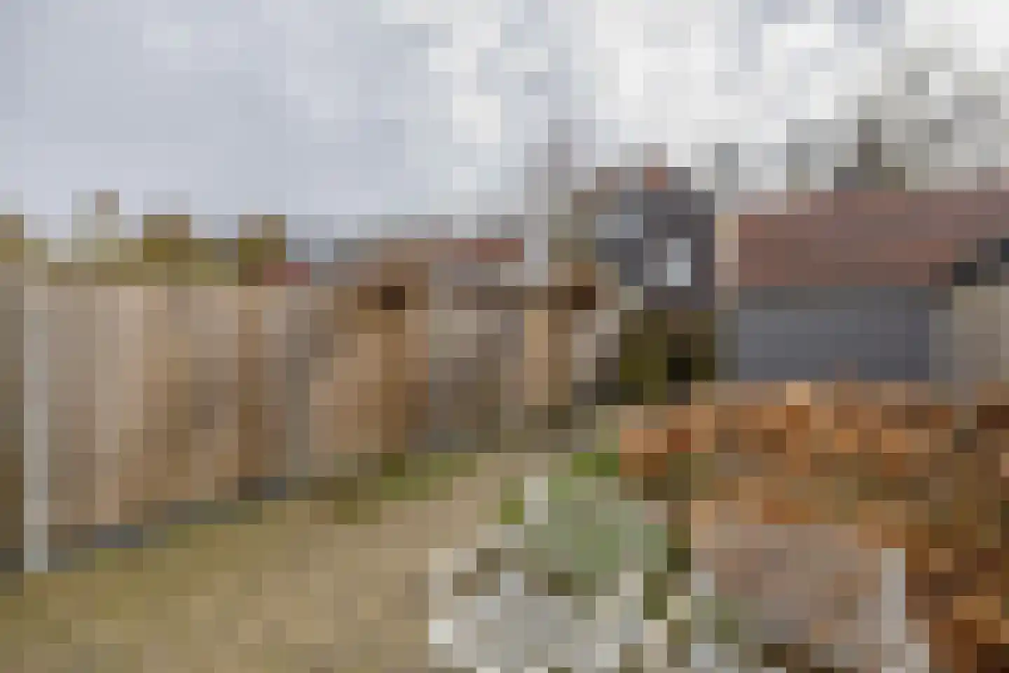 Singelkade 80 Middelharnis thumbnail 29