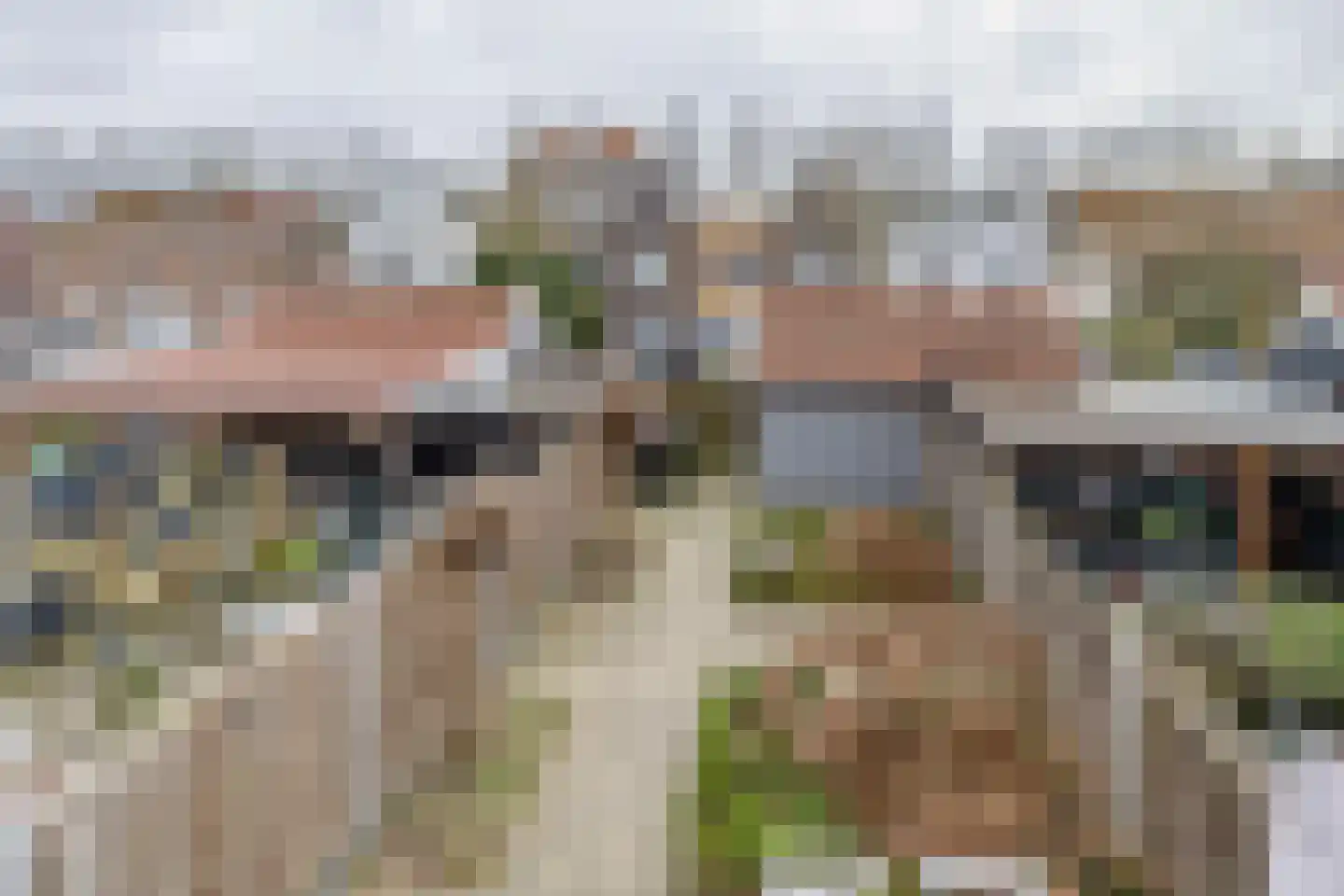 Singelkade 80 Middelharnis thumbnail 30