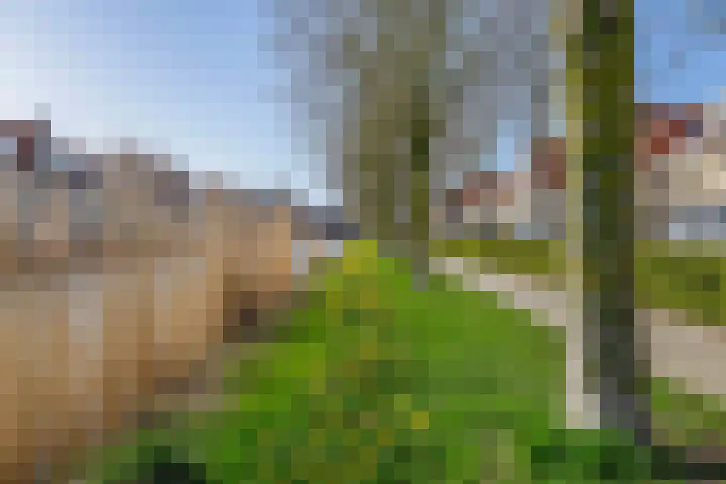 Singelkade 80 Middelharnis thumbnail 38