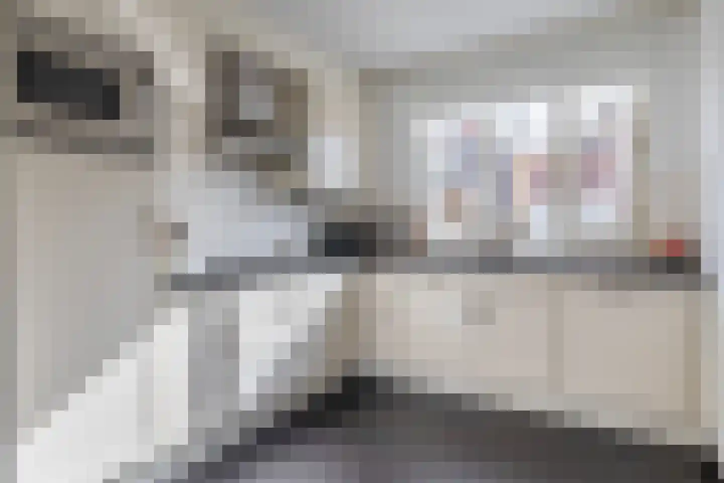 Singelkade 80 Middelharnis thumbnail 4