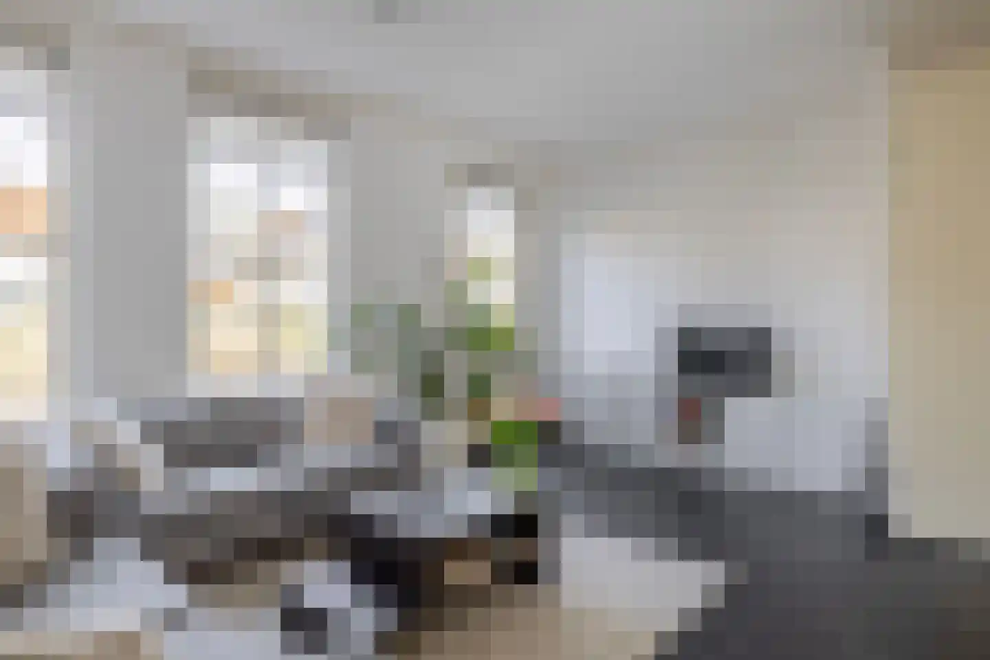 Singelkade 80 Middelharnis thumbnail 8