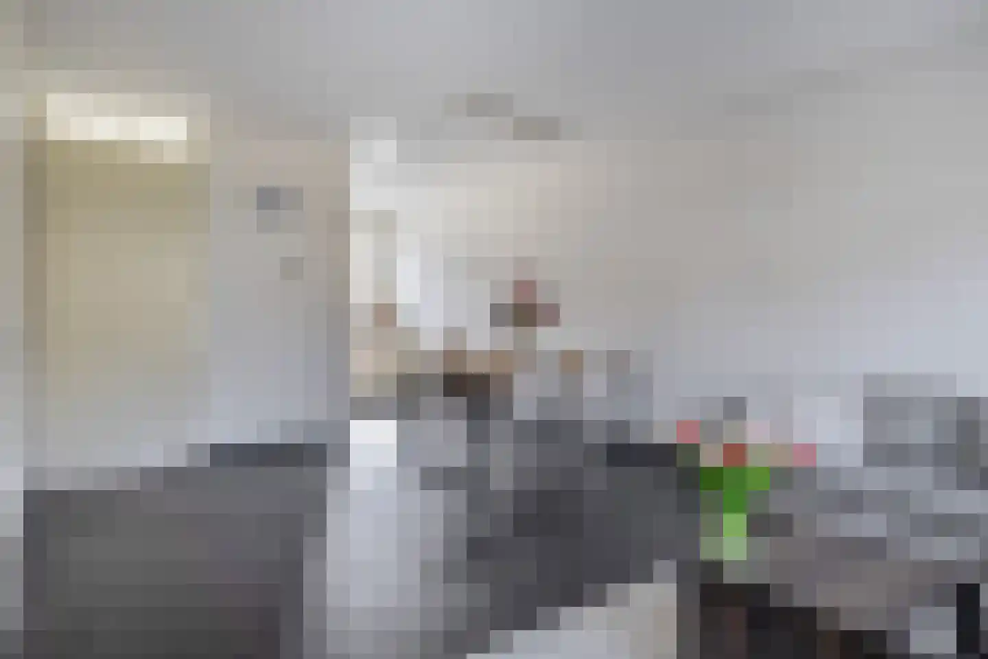Singelkade 80 Middelharnis thumbnail 9