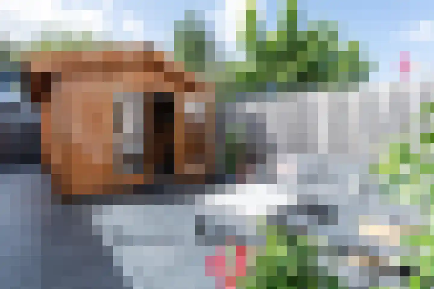Singelkade 84 Middelharnis thumbnail 38