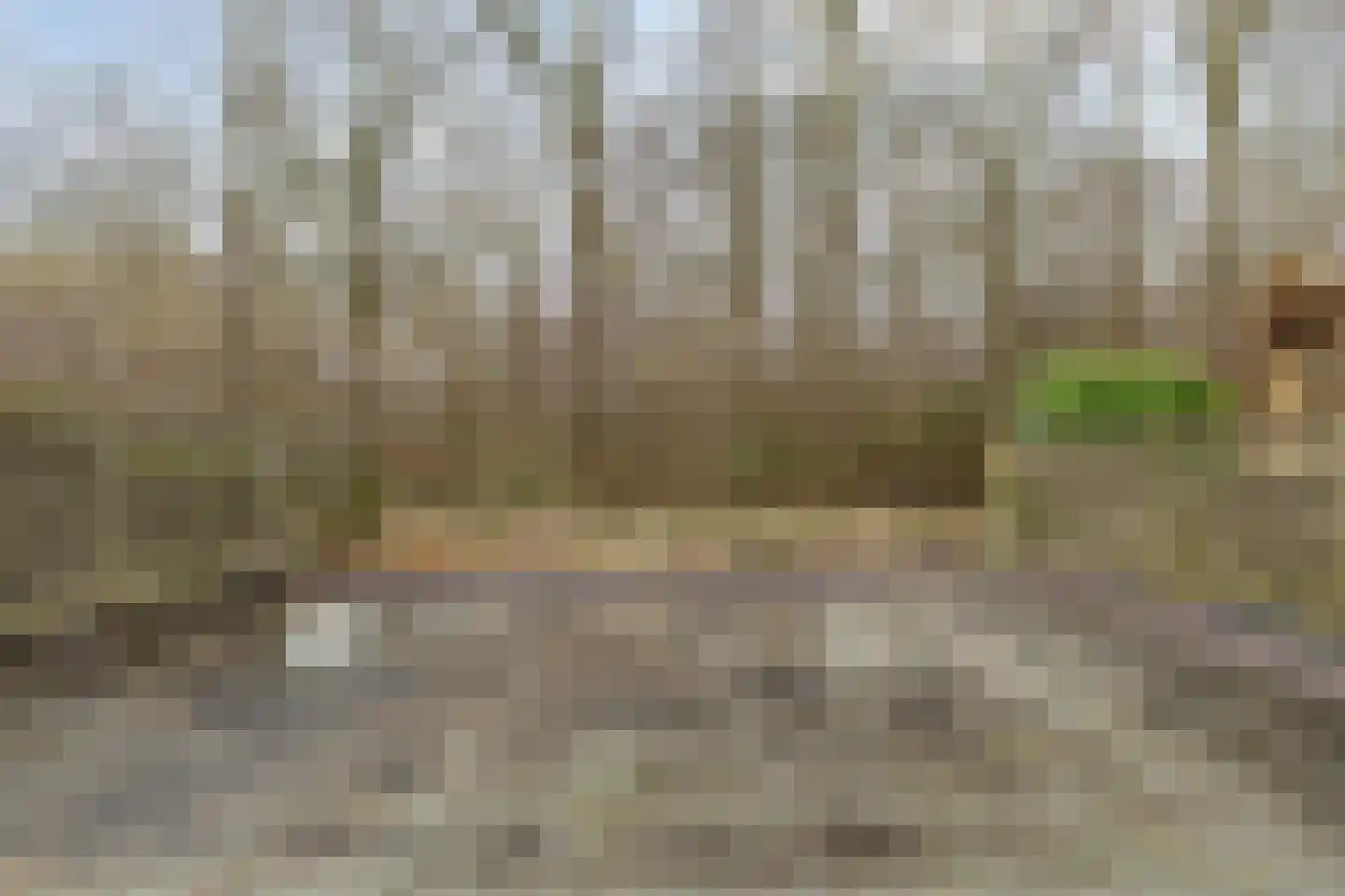 Singellaan 57 Heiligerlee thumbnail 10