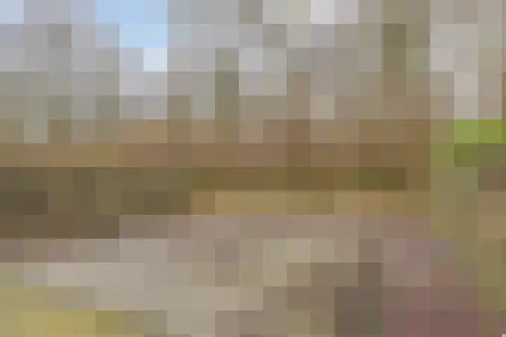 Singellaan 57 Heiligerlee thumbnail 11