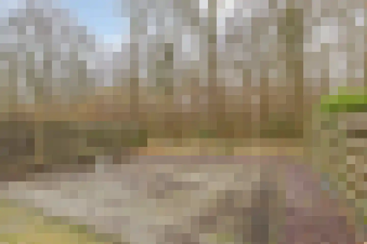 Singellaan 57 Heiligerlee thumbnail 11