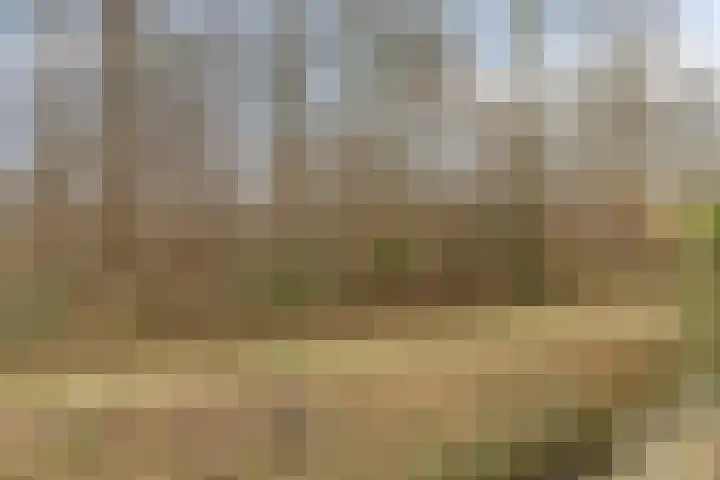 Singellaan 57 Heiligerlee thumbnail 15