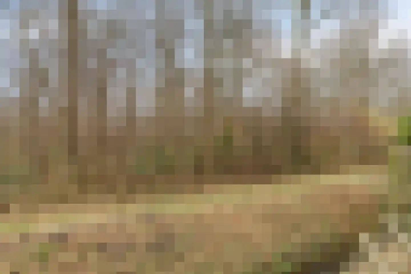 Singellaan 57 Heiligerlee thumbnail 15