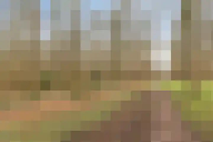 Singellaan 57 Heiligerlee thumbnail 18