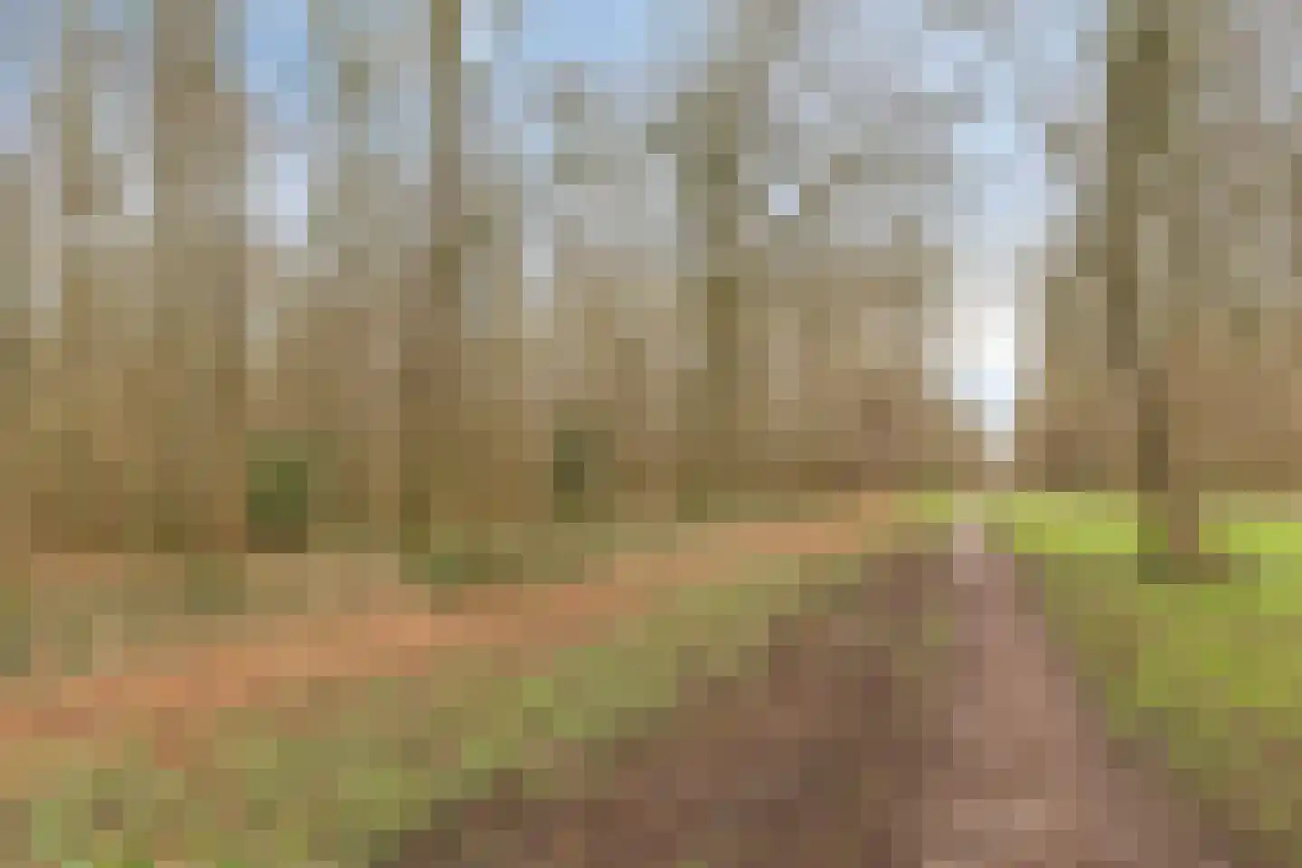 Singellaan 57 Heiligerlee thumbnail 18