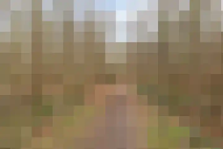 Singellaan 57 Heiligerlee thumbnail 19