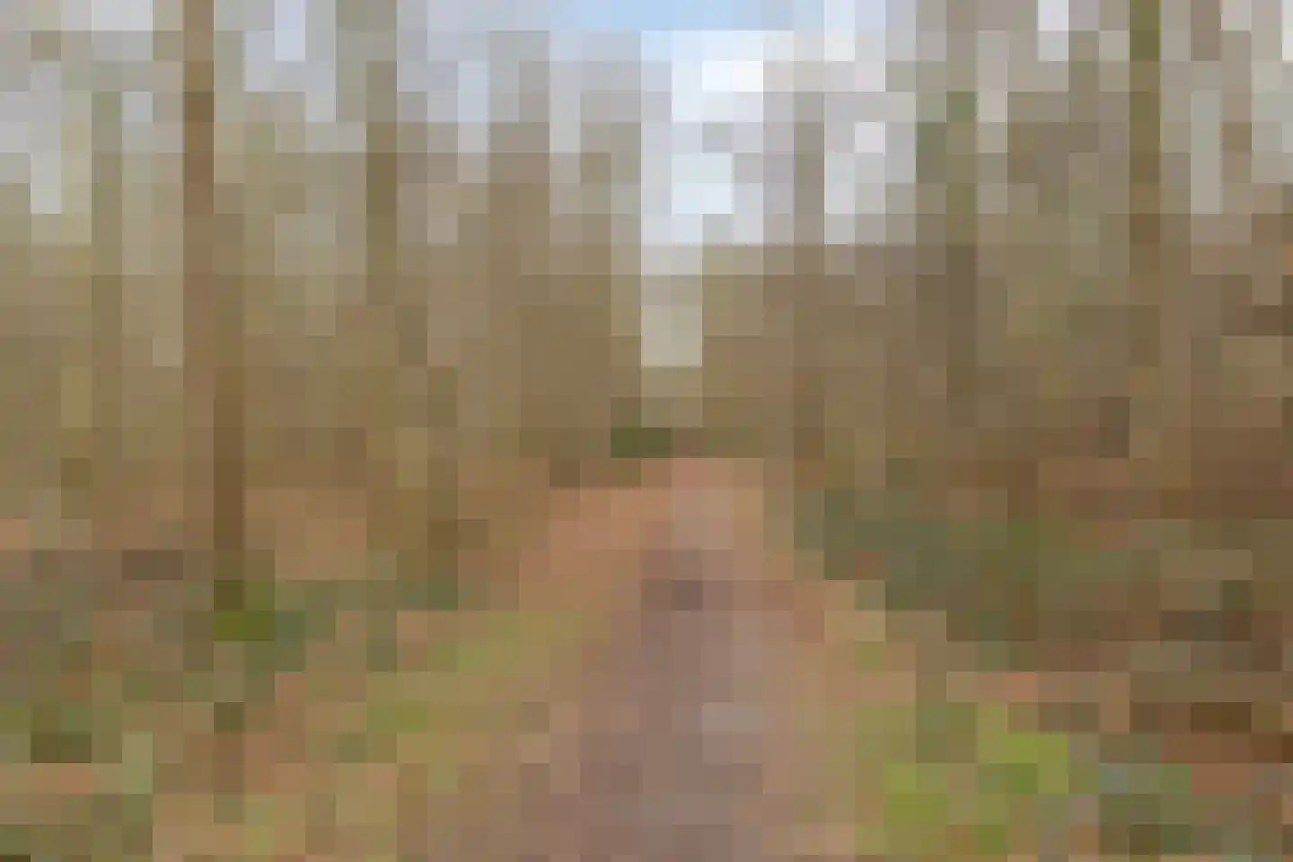 Singellaan 57 Heiligerlee thumbnail 19