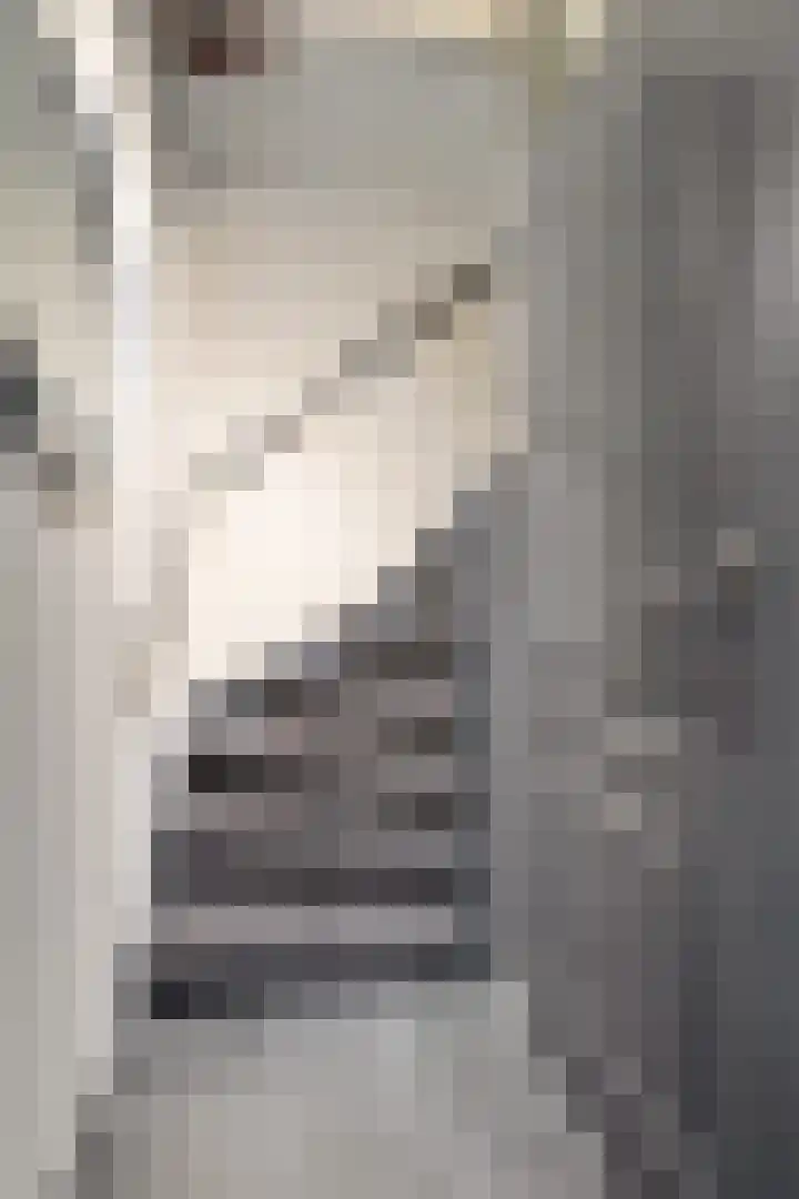 Singellaan 57 Heiligerlee thumbnail 24